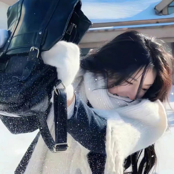 暴龙真相
